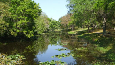 Sawgrass Lake