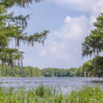 Tsala Apopka Lake thumbnail