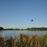 Lake Fairview thumbnail