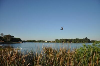Lake Fairview Orlando Fl