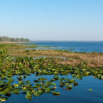 Orange Lake thumbnail