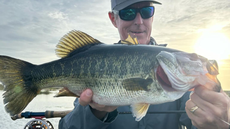 Angler holding a largemouth bass caught on Lake Seminole