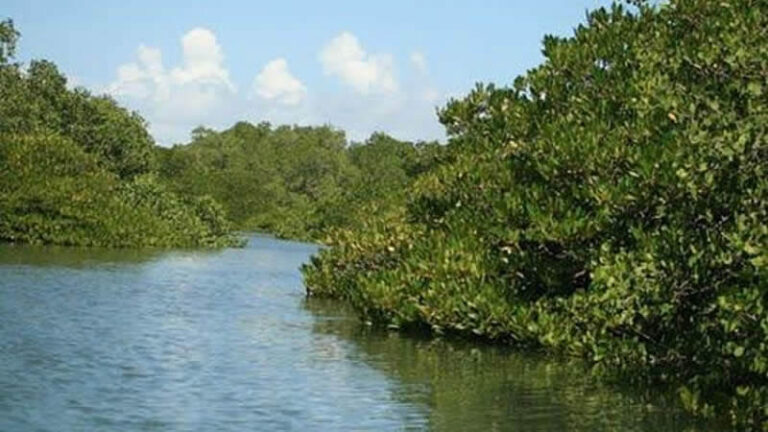 Lake Hamilton Florida - Lake Hamilton Fl