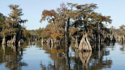Lake Wimico