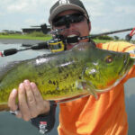 Everglades Holiday Park