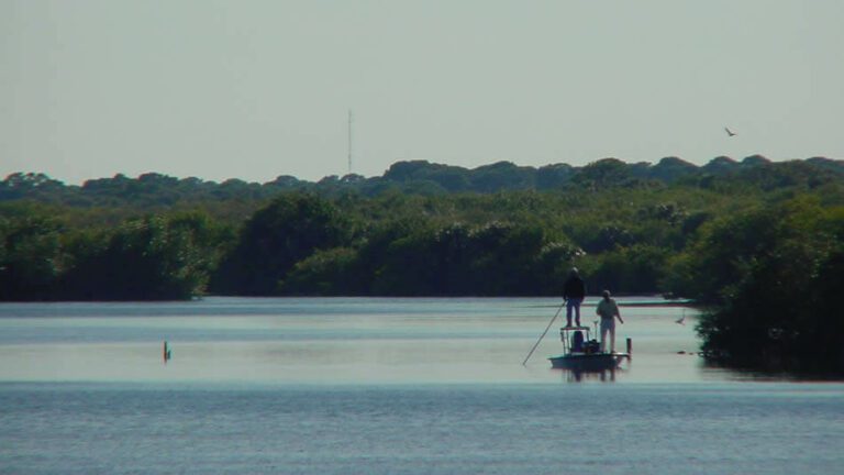 Indian River fishing near fishing in New Smyrna Beach