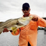 Homosassa River thumbnail