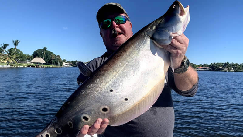 Today's Trip reminded me of Forest Gump