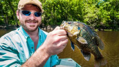 Panfishing in Florida: Everything You Need To Know About Panfish