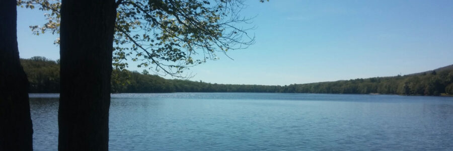 Fairview Lake photo