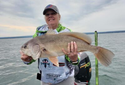 Different fish species commonly found in St. Lawrence River fishing