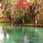 Crystal River thumbnail