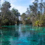 Crystal River thumbnail
