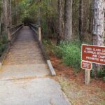 Blackwater River thumbnail