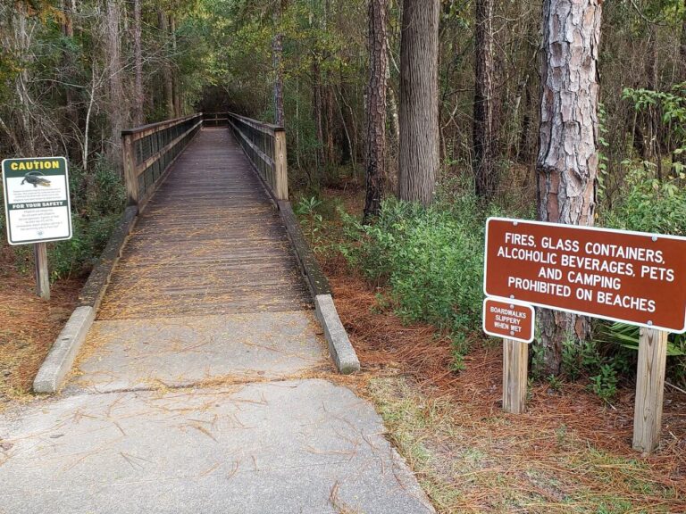 Blackwater River State Park near Pensacola Florida freshwater fishing