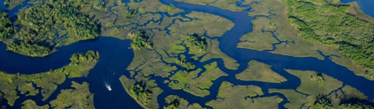 Withlacoochee River landscape in Central Florida