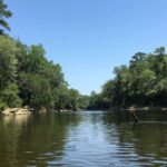 Withlacoochee River thumbnail