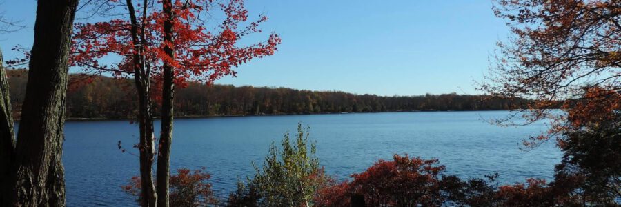 Gouldsboro Lake photo