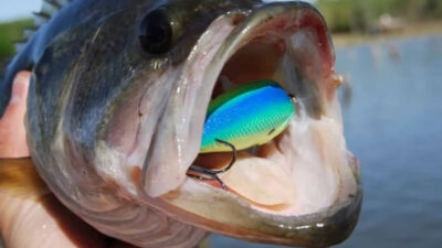 How to Fish a Crankbait