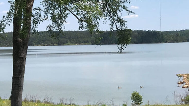 Javors Lucas Lake Ga