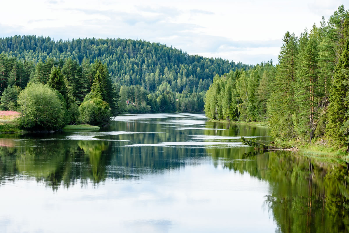 Freshwater fishing in the United States