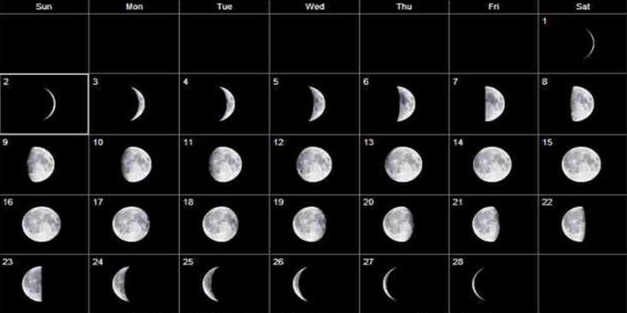 freshwater fishing moon phase freshwater fishing moon phase