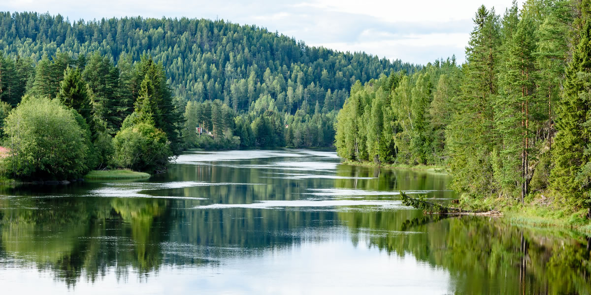 Fishing in Freshwater 1 Fishing in freshwater