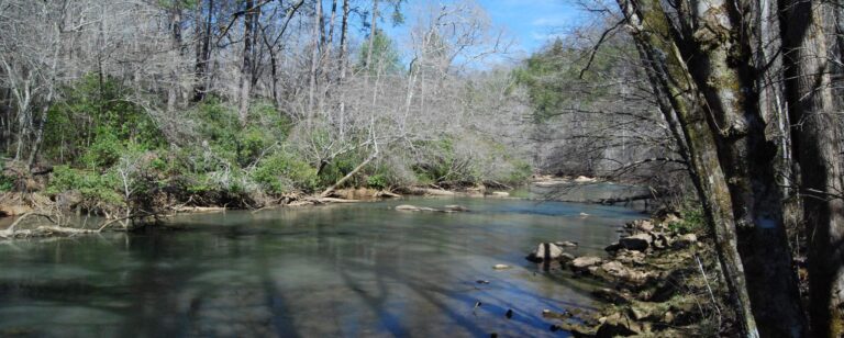 Lake Nottely reservoir in North Georgia