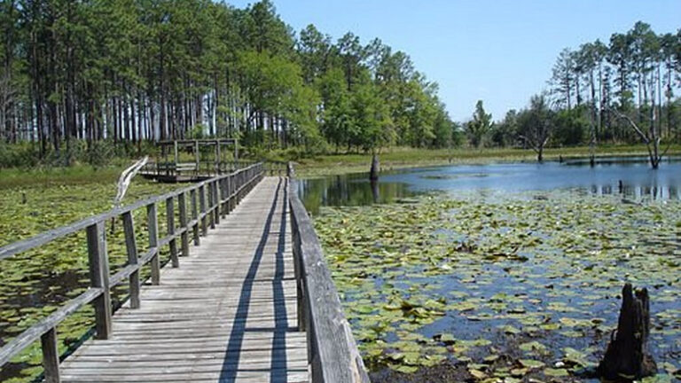 Donalsonville, GA boardwalk