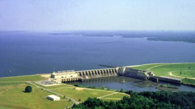 Freshwater Striped Bass