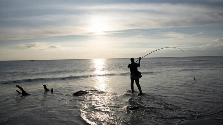 big striped bass from the beach