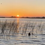 California Delta thumbnail