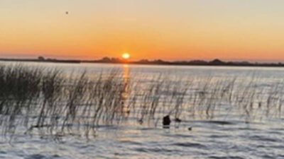 California Delta