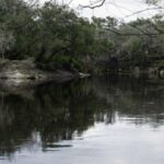 Suwannee River thumbnail