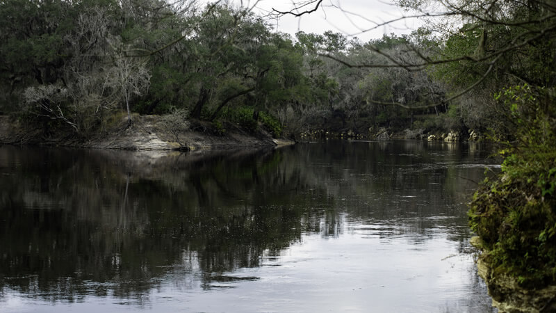 Suwannee River photo