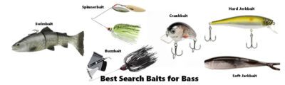 Best Search Baits for Bass