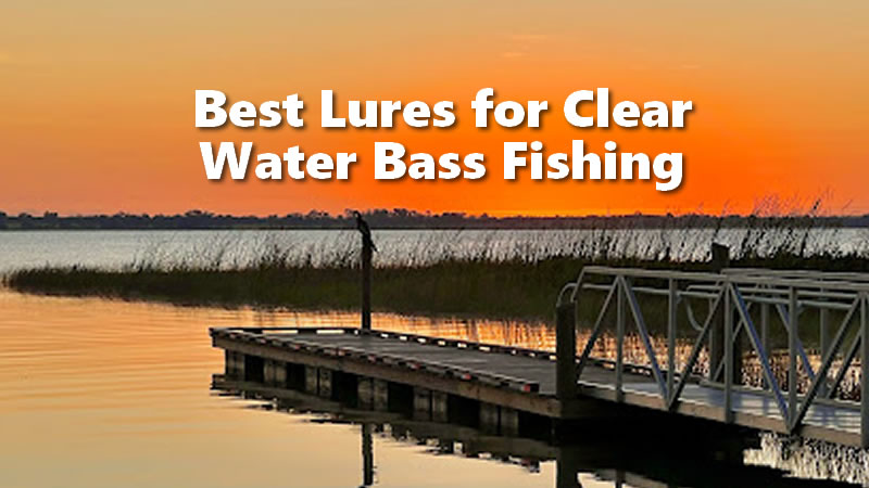 Best Lures for Clear Water Bass Fishing