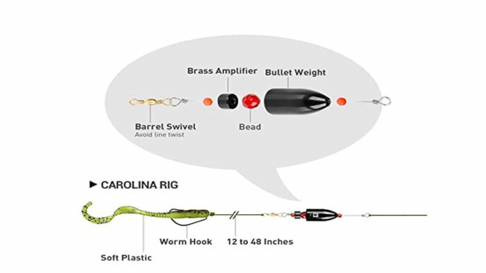 Rigging for Success: Best Bass Fishing Rigs and Techniques