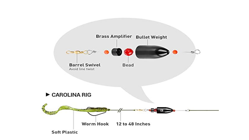 Carolina rig diagram showing bullet weight, bead, swivel, leader, hook, and soft plastic