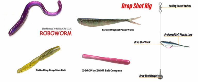 Drop Shot Lures for Bass