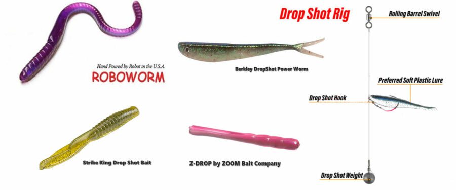 Drop Shot Lures for Bass