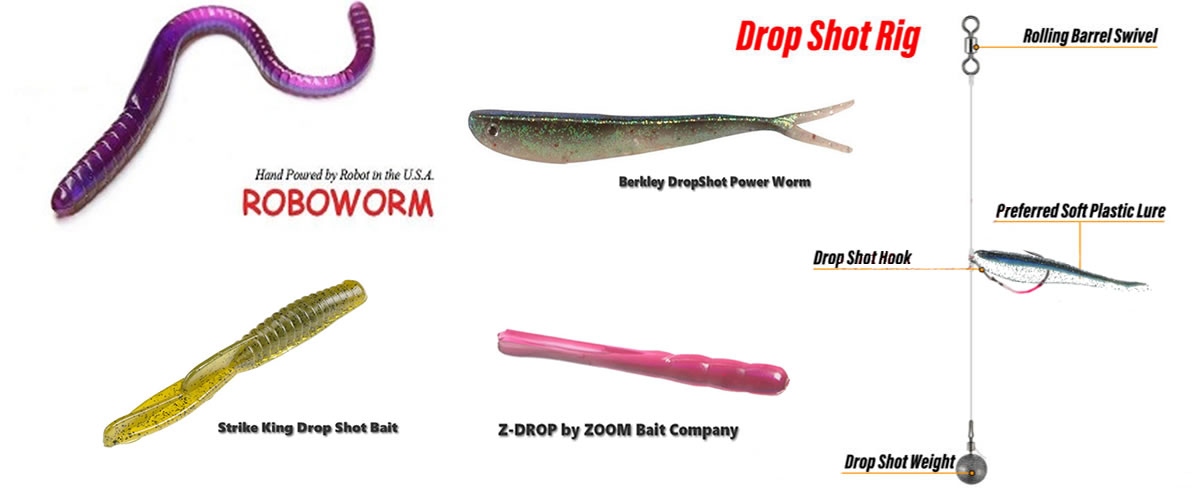 Drop Shot Lures for Bass