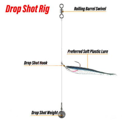 Drop Shot Rigs
