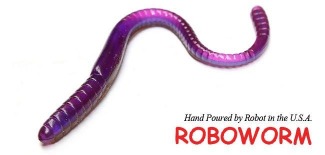 Robo Worms