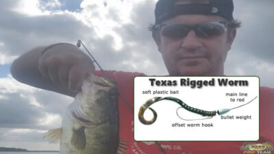Best Bass Lures for Pond Fishing with Texas Rigged Worm