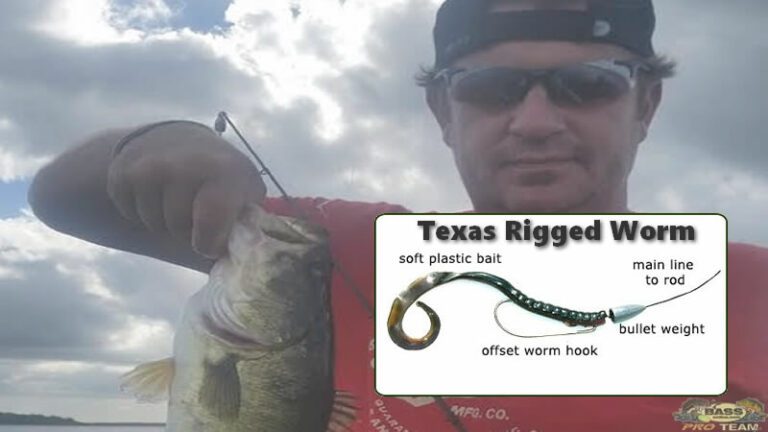 Texas Rigs & Bass Fishing: A Winning Combination 2 What is a Texas rig for bass fishing