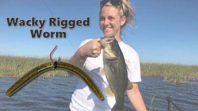 Wacky Rigged Worm