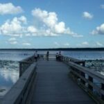 Newnans Lake thumbnail