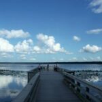 Newnans Lake thumbnail