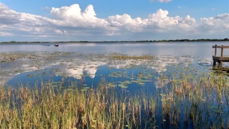 Lake Lowery photo